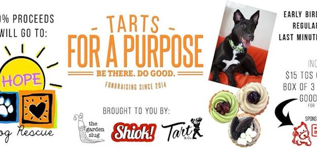 Tarts For A Purpose