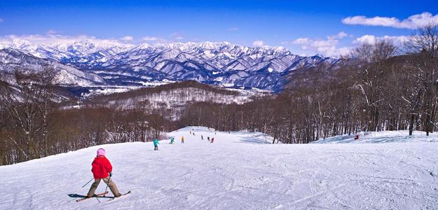 A Beginner's Guide to Skiing in Japan: Best Resorts in Hokkaido and Nagano