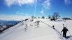 Skiers trekking through deep powder snow in Hokkaido, Japan under a clear blue sky, capturing the backcountry ski experience in winter.