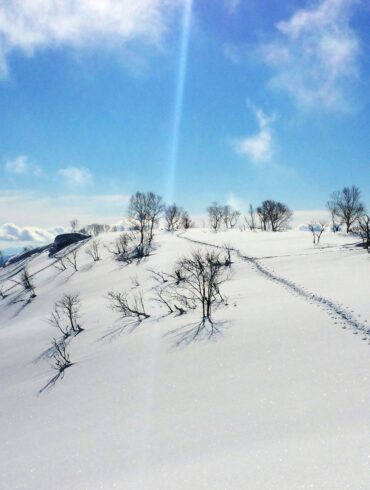 Skiers trekking through deep powder snow in Hokkaido, Japan under a clear blue sky, capturing the backcountry ski experience in winter.