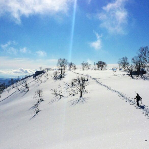 Skiers trekking through deep powder snow in Hokkaido, Japan under a clear blue sky, capturing the backcountry ski experience in winter.