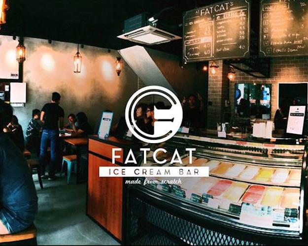 FATCAT Ice Cream Bar