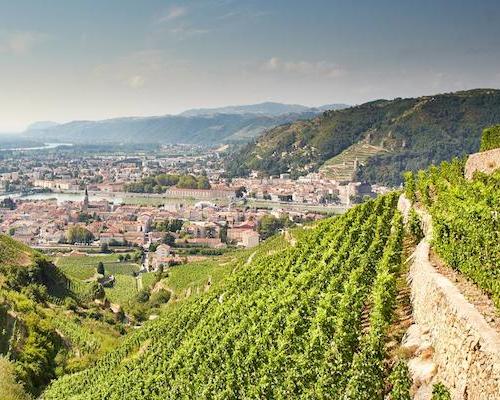 French Wine Tasting – Meet Nicolas Perrin