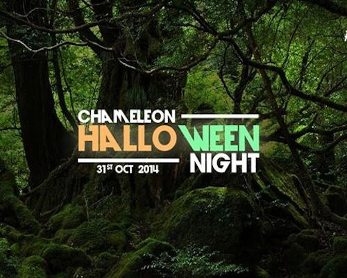 Halloween Night @ Chameleon Club