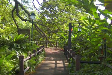 fort canning park singapore