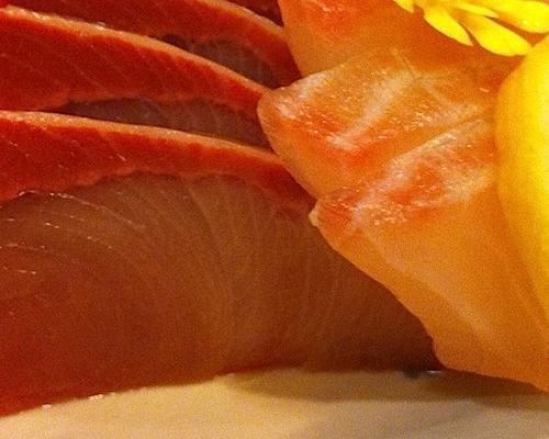 Ikoi – great quality all-you-cat-eat sushi