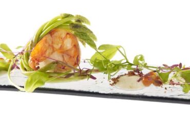 Stellar at 1-Altitude