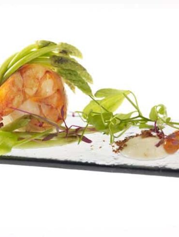 Stellar at 1-Altitude