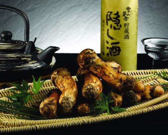 Mad for Mushrooms: Matsutake Season returns to Mikuni