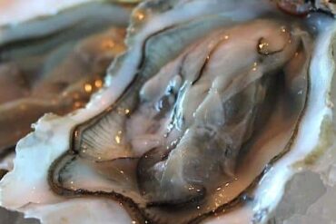 oyster bar singapore