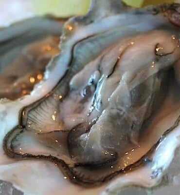 oyster bar singapore