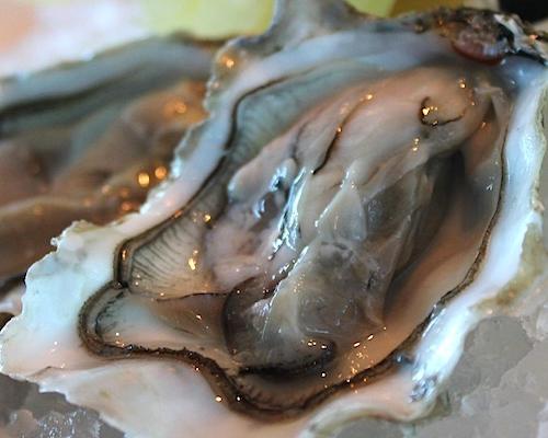 Oyster Bar – Possibly the best oysters in Marina Bay