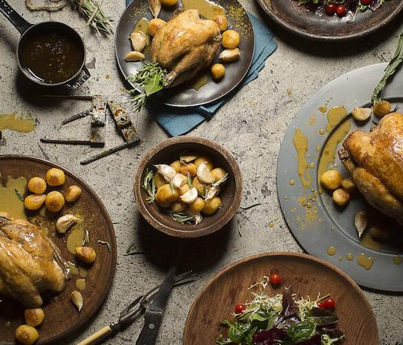 Shelter in The Woods