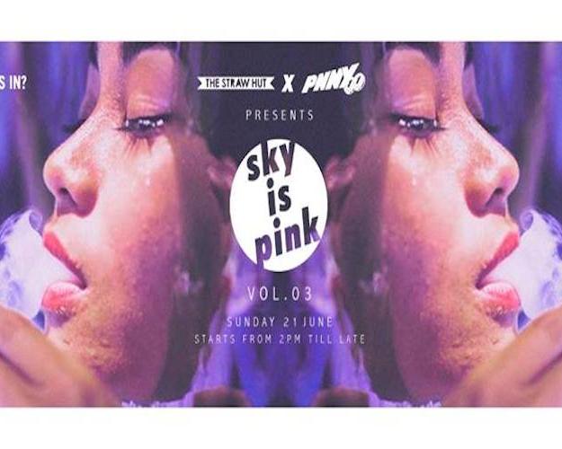 SKY Is PINK vol. 3