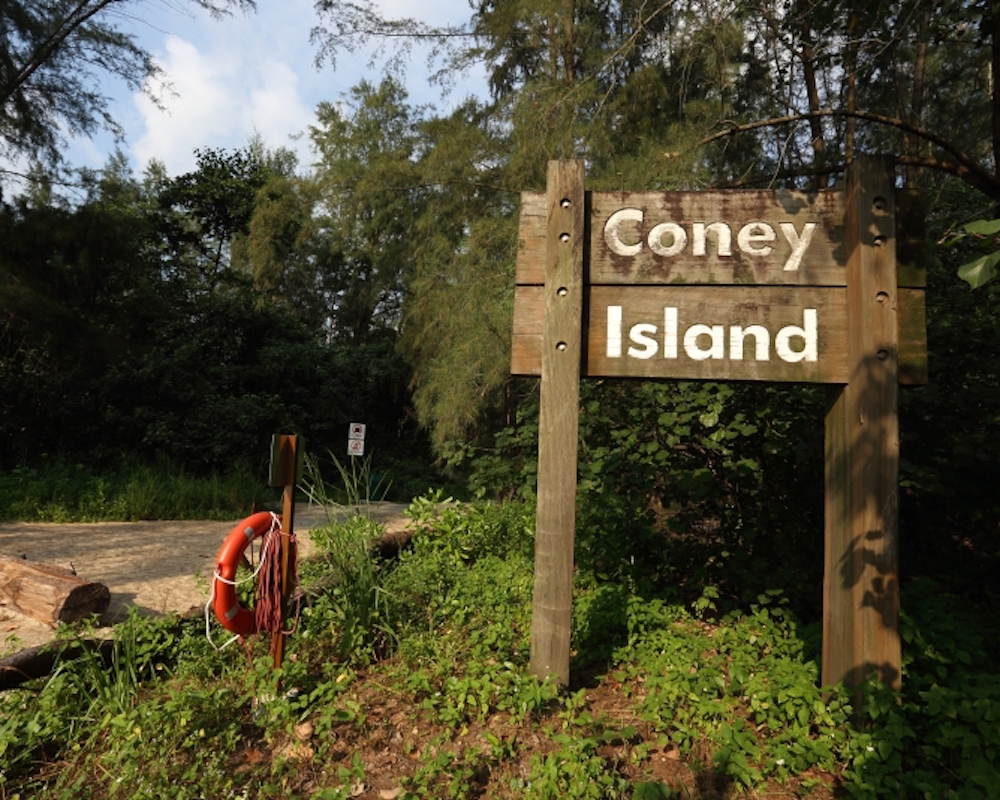 City Nomads’ Guide to Coney Island Park