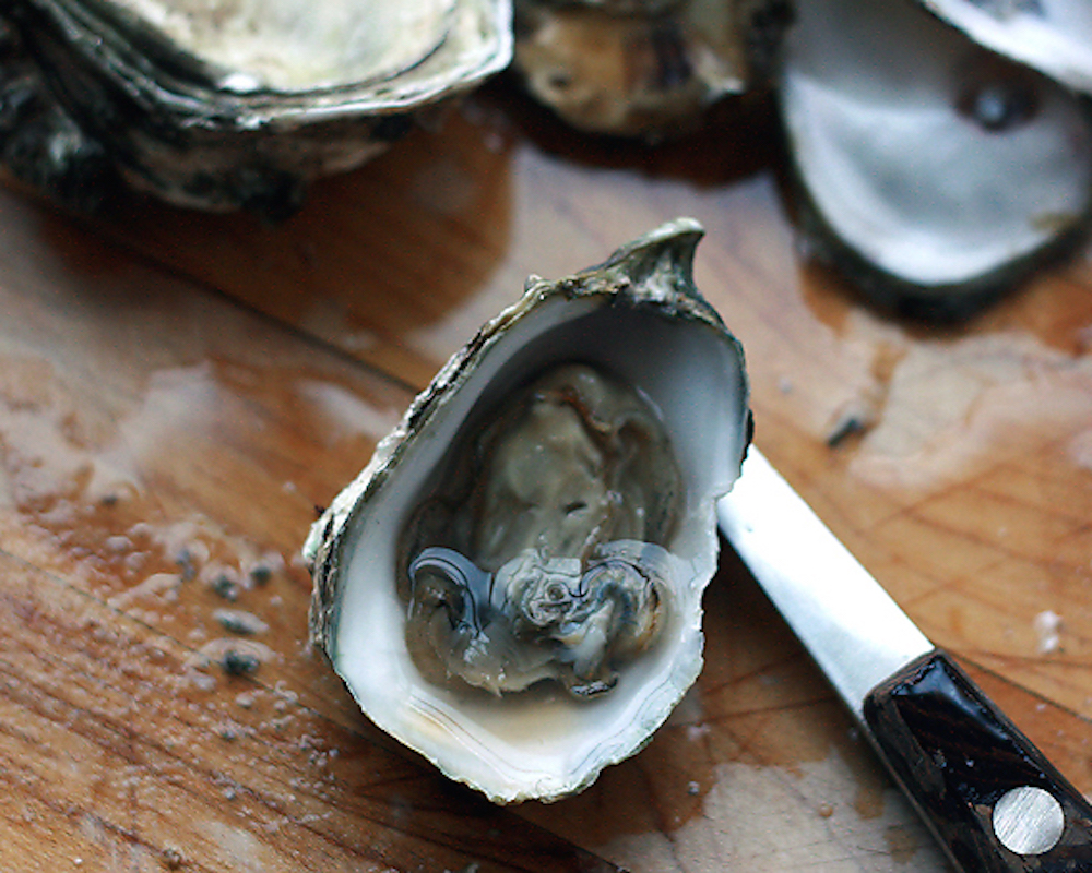 5 Things To Know When It Comes to Eating Oysters