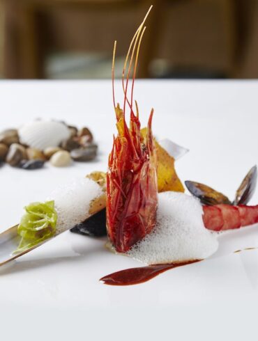 Spring Menu - Ocean Rabbit Stash Cover