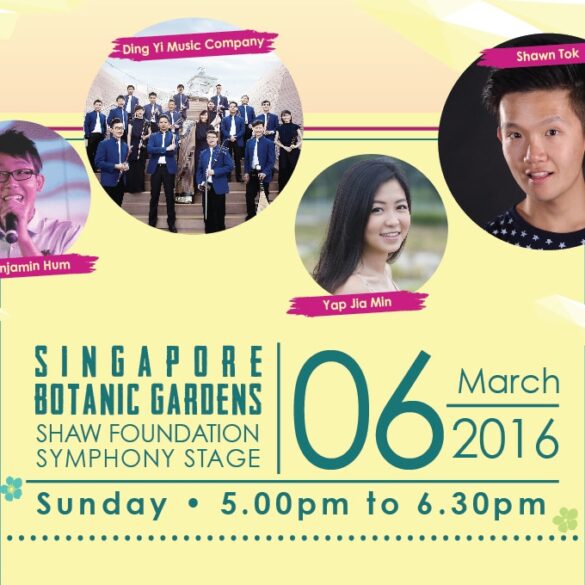 Concert In The Park