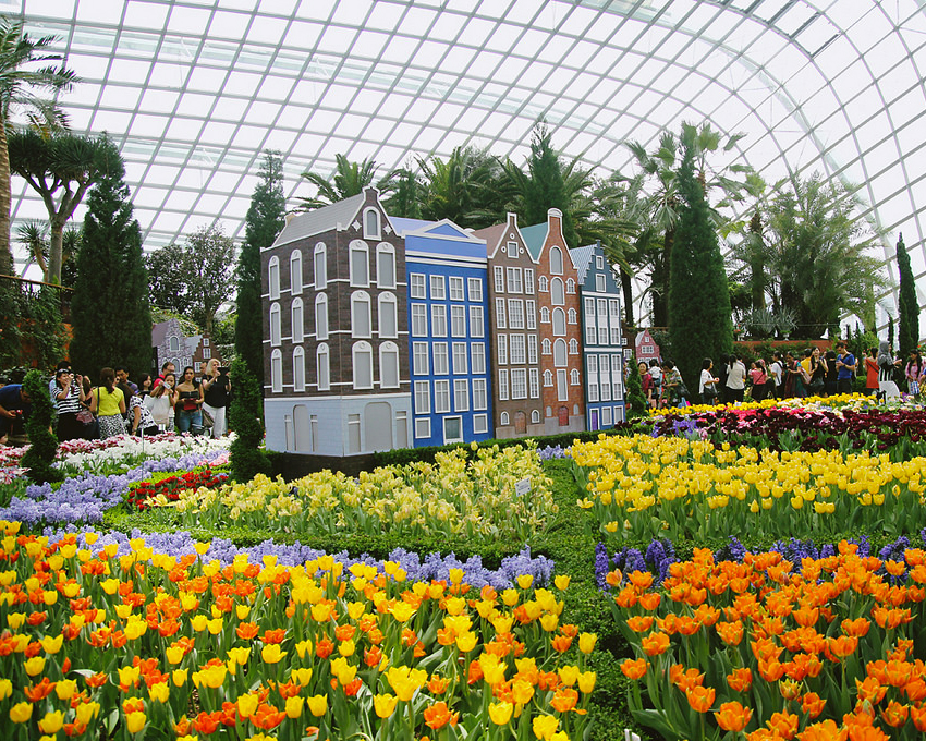 Gardens by the Bay presents Tulipmania