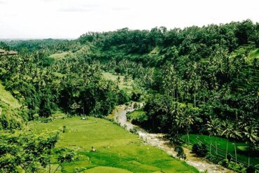 Hotels in Ubud for Every Budget