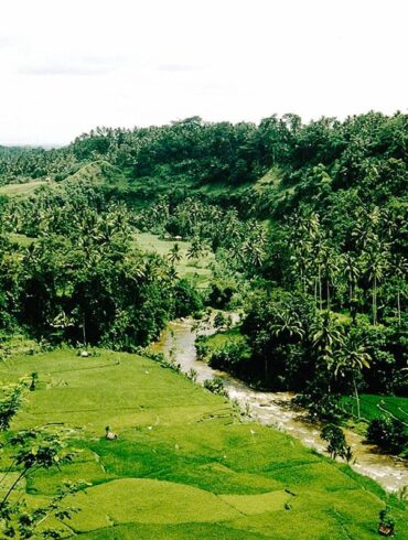 Hotels in Ubud for Every Budget