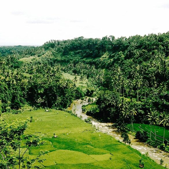 Hotels in Ubud for Every Budget