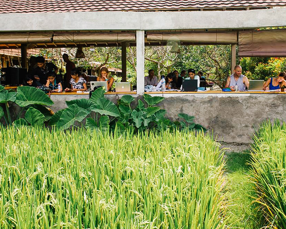 Co-Working Spaces in Bali