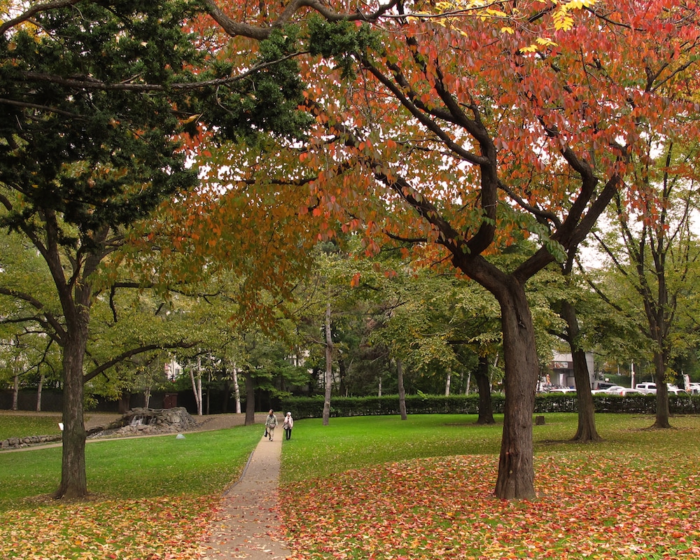 A Guide to Autumn in Hokkaido