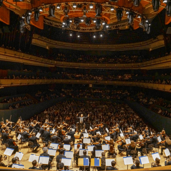 australian world orchestra