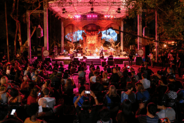 Photo courtesy of Matthew Oldfield