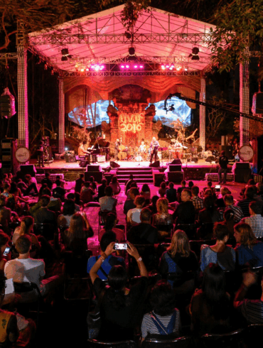 Photo courtesy of Matthew Oldfield