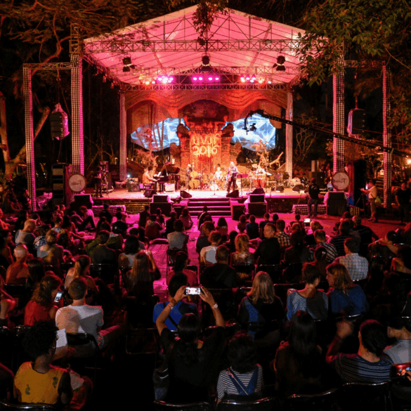 Photo courtesy of Matthew Oldfield