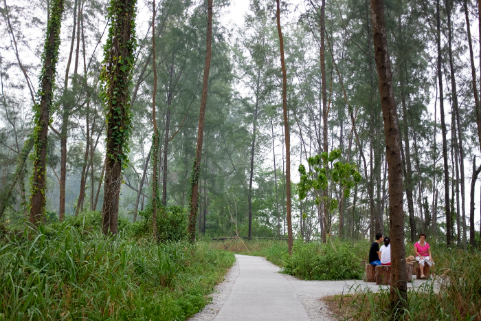 where to hike in singapore coney island