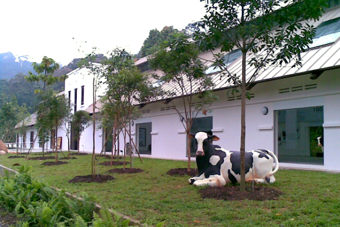 dairy farm where to hike in singapore