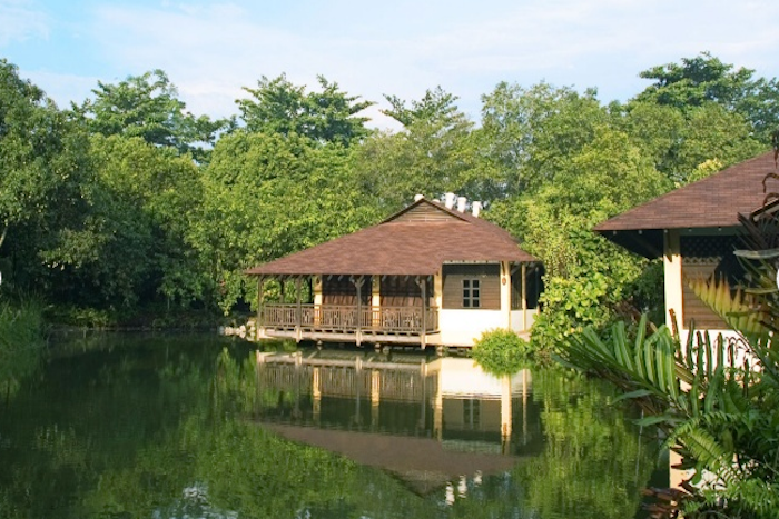 sungei buloh wetland where to hike in singapore