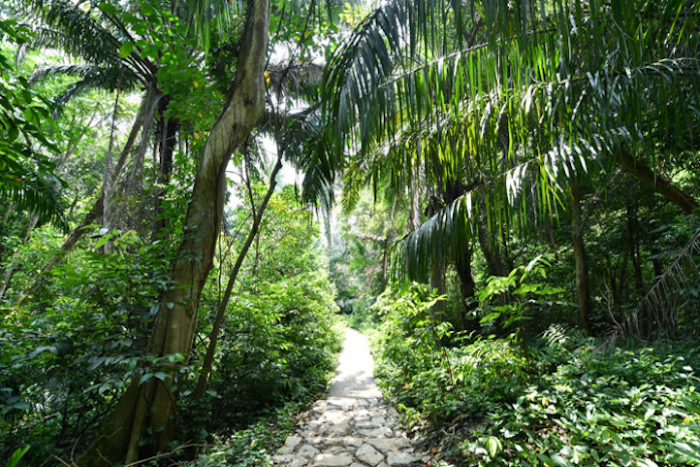windsor park where to hike in singapore