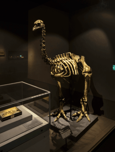 treasures of the natural world artscience museum exhibition