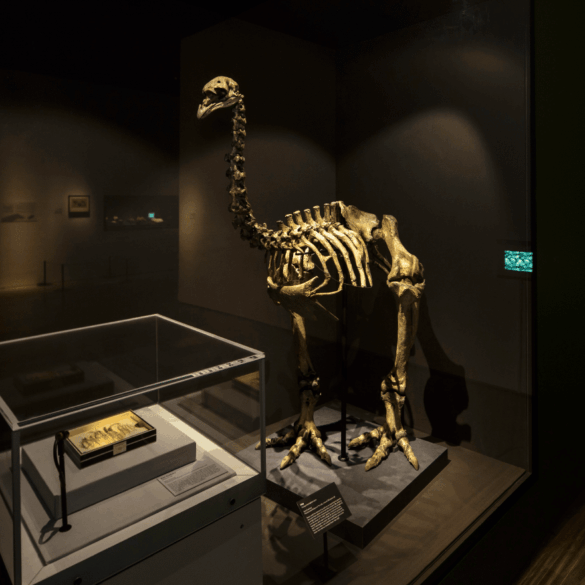 treasures of the natural world artscience museum exhibition