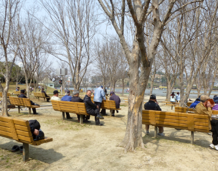 Day Trips From Seoul: Jeonju, Everland, Ansan, Bukhansan National Park ...