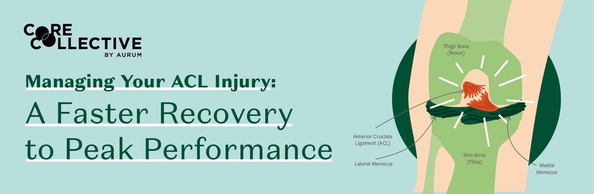 Managing Your ACL Injury: A Faster Recovery To Peak Performance – City ...