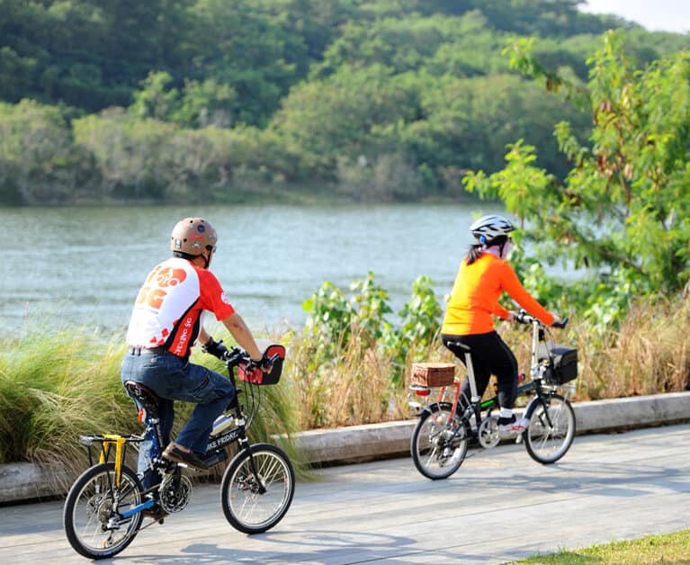 Explore Singapore on Two Wheels: Scenic Cycling Trails for Avid Bikers and Leisure Cyclists