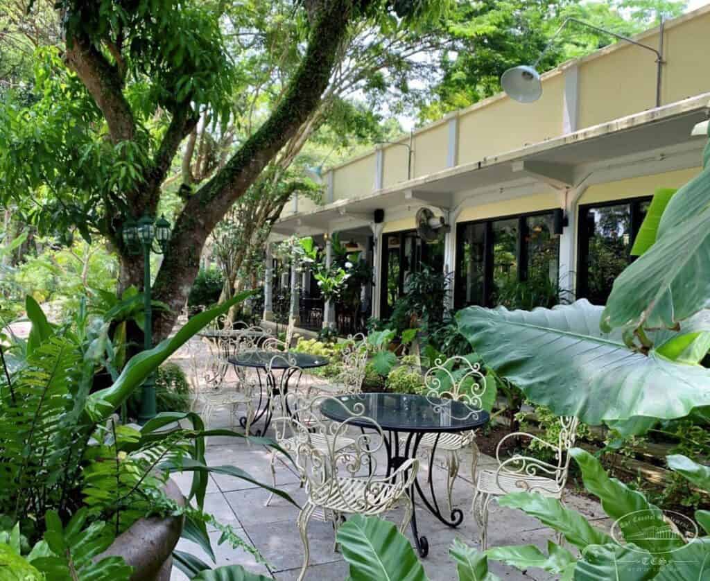 10 PetFriendly Dining and Drinking Spots in Singapore For You and Your