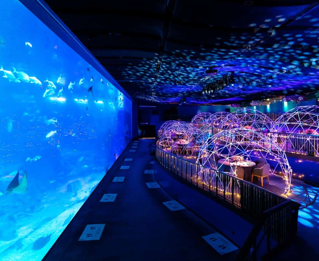 aquarium ceiling projector