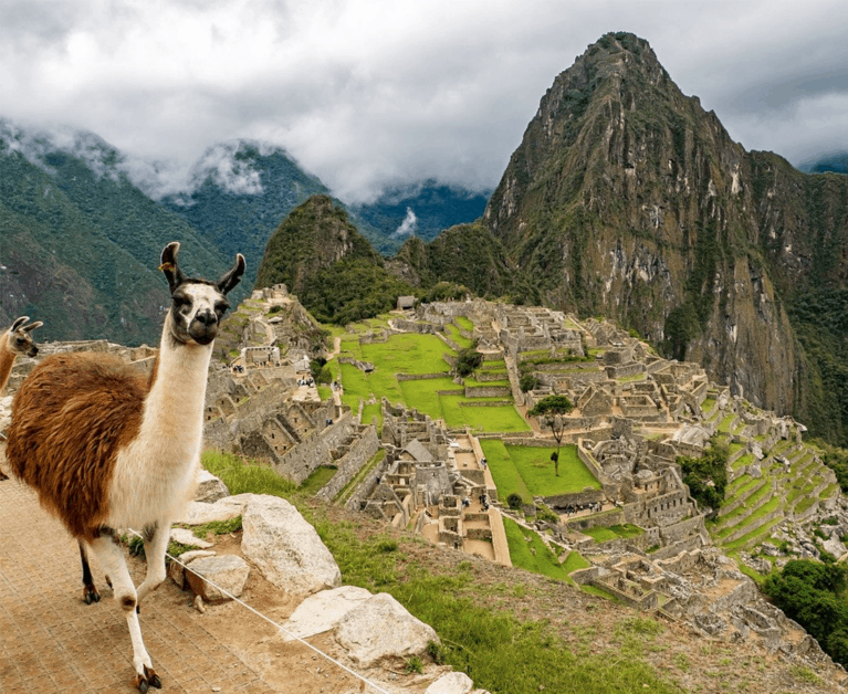 Wander from Home: Explore Ever-changing Landscapes of Greenery, Deserts and Ruins in Peru