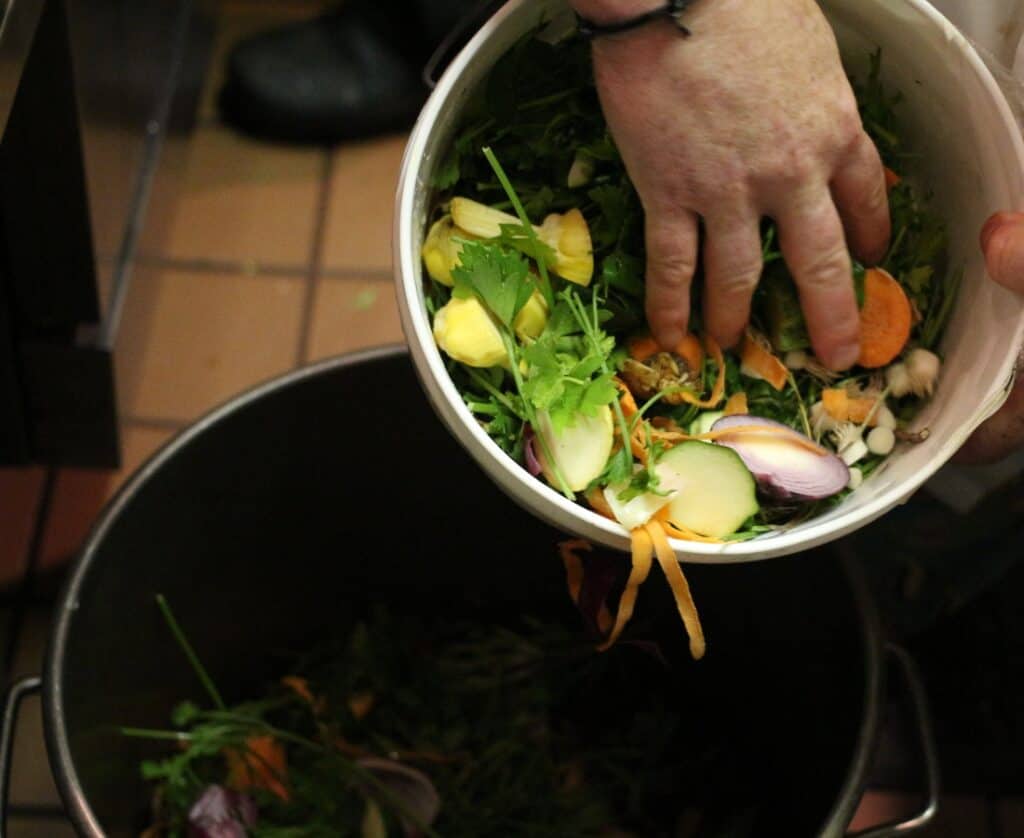 Sustainability in Singapore Easy and Unconventional Ways to Reduce