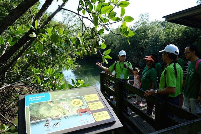 Mangrove Forest, , Downtown East, Pasir Ris, Singapore