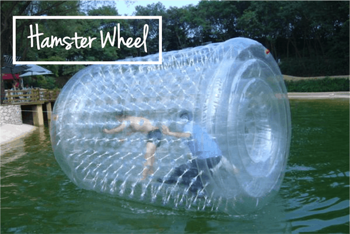 Adult Playground Sentosa Singapore Hampster Wheel