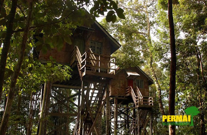 Treehouse Villa at Permai Rainforest Resort Borneo Malaysia