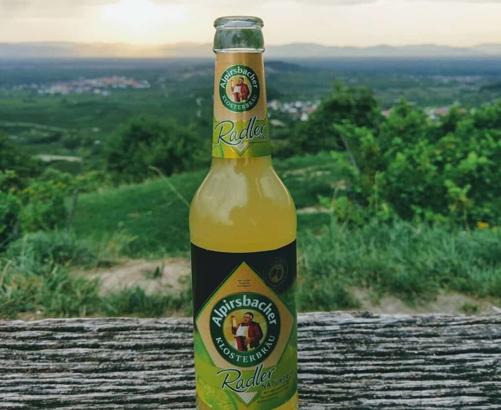 The Best NonAlcoholic Alternatives To Wines, Beers, and Spirits To