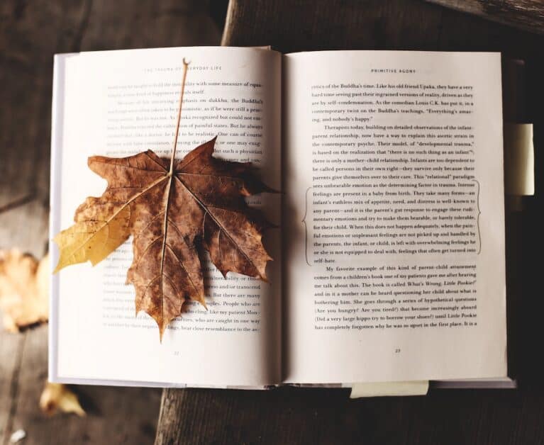 On The Same Page: Stories to Inspire, Comfort, and Make You Laugh this Fall